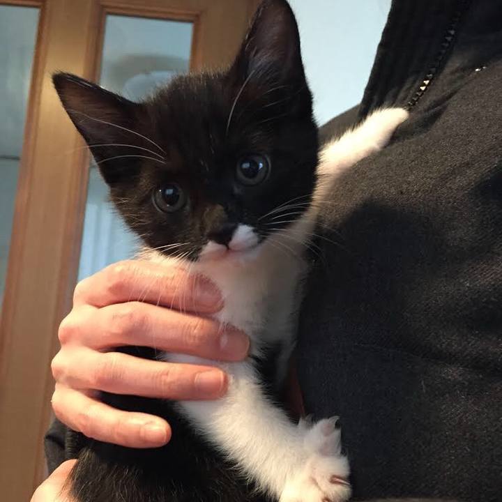 0c3b462e bc9d 4e2f 9b2e 6d38ce0fadd3 1522300061402