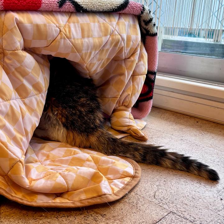 0c3b4a01 c098 4f80 884b 08bca7ab587b 1741126445059