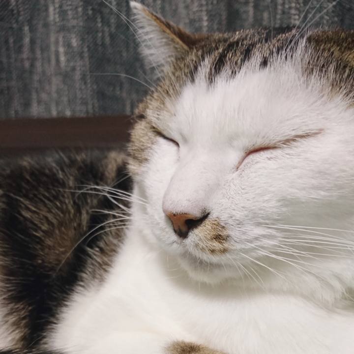 0c3b59fd d91e 4359 bbeb ab407eedb4e0 1542341981762