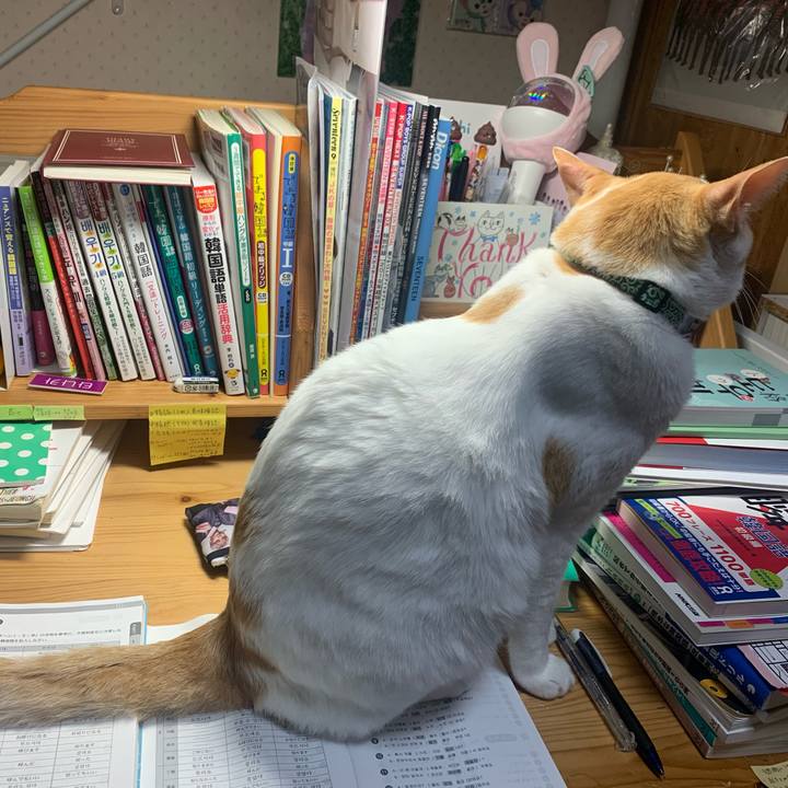 0c3b619f cfd3 4a2a be48 d5af44d839ec 1581182520268