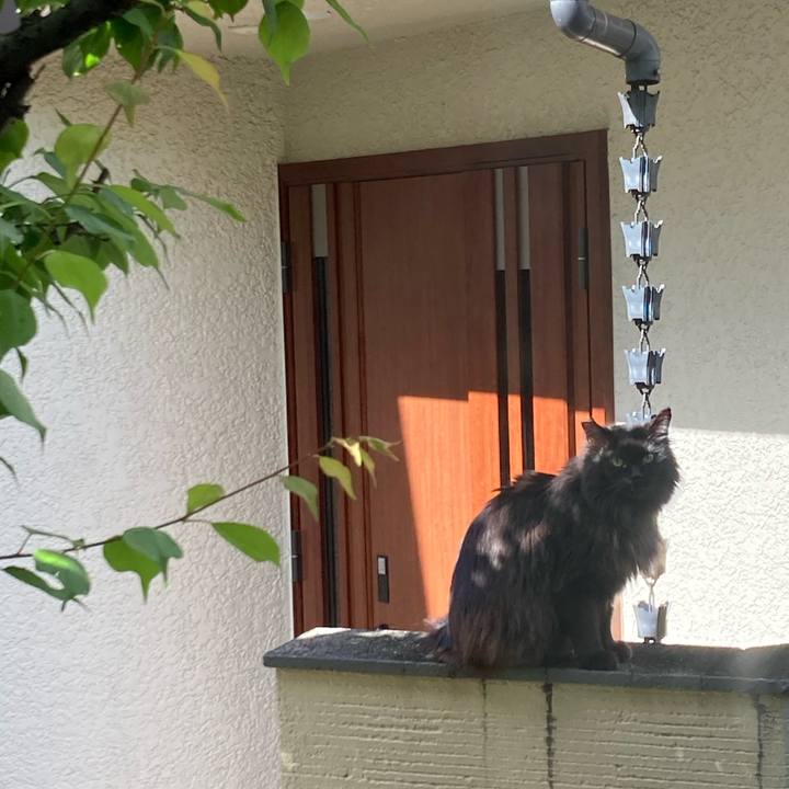 0c3b633a 9824 4f70 868e 9e04f16daa51 1619785387835