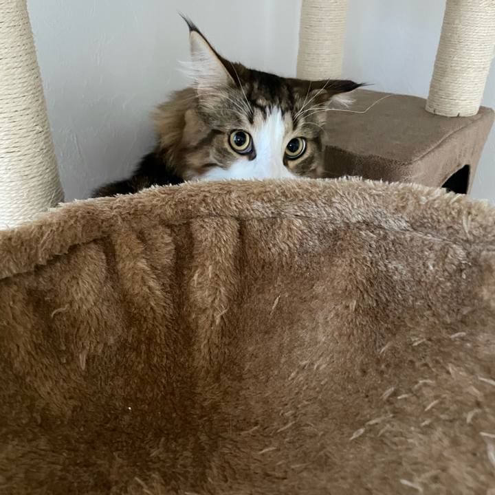 0c3ba948 976e 4460 9e0b a1a8b0109fc0 1652561554871