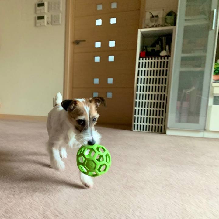 0c3baea5 9157 4172 98c1 656b1f9cf425 1582694873173