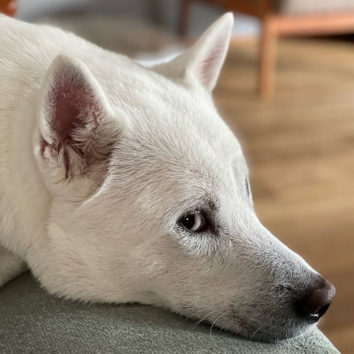 0c3bd414 6945 49b3 a03c bf1d2e26f449 1646906545592