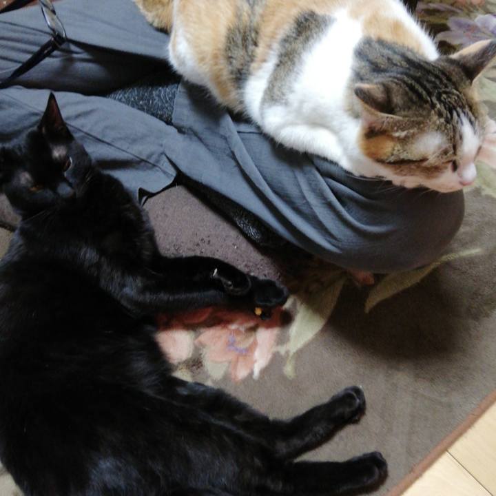 0c3bd61c 6ffd 481e 855f f0935062a805 1608069654606