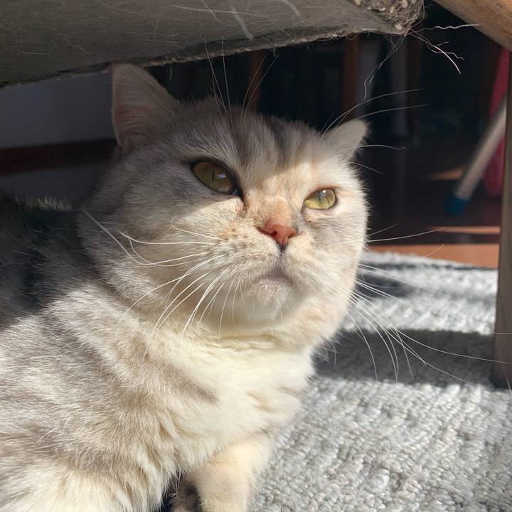 0c3be839 1e7d 4ea4 959d ad8960ddd6e2 1711754971293