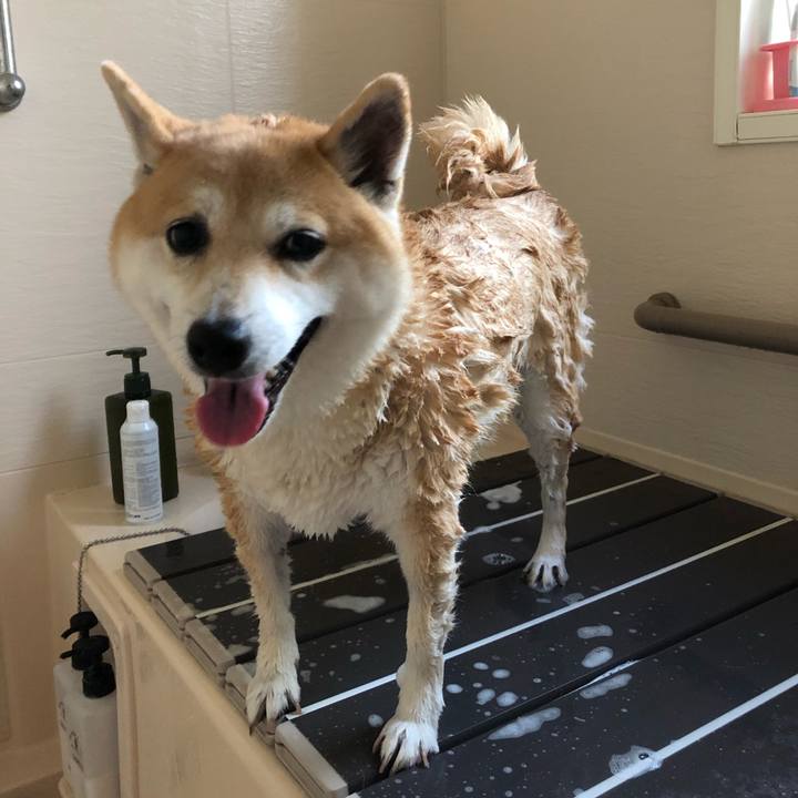 0c3c0e88 329d 4309 b39b 0633ea76a1ce 1568034617898