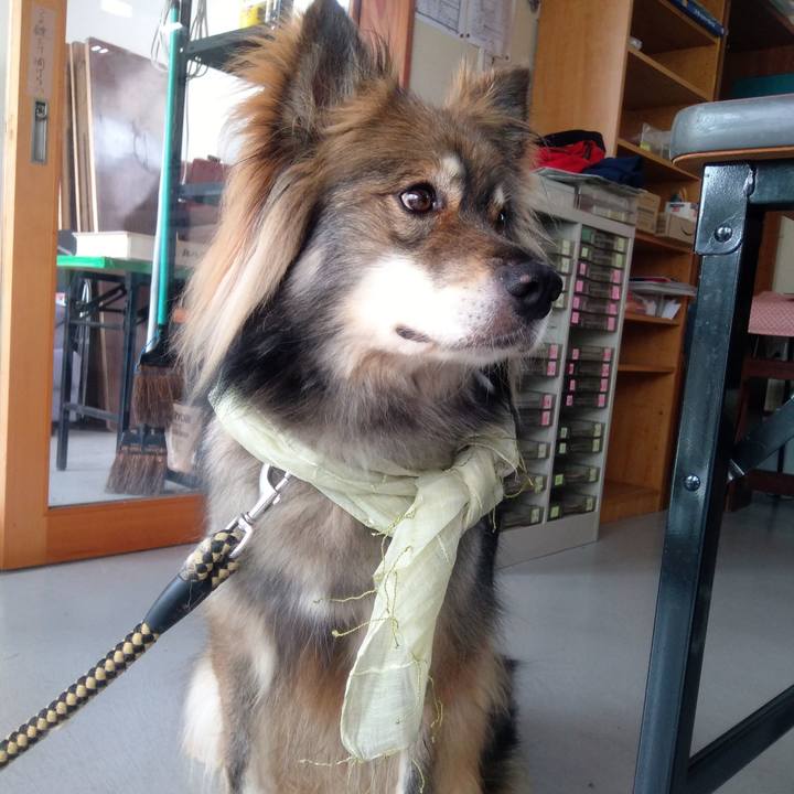 0c3c39fe 1424 4d14 95b8 26b46cc63c17 1636160615964