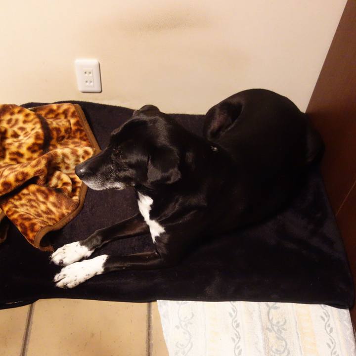 0c3c4b39 9dcb 4bb3 b8fd 26b3e73f7ff1 1708822215676