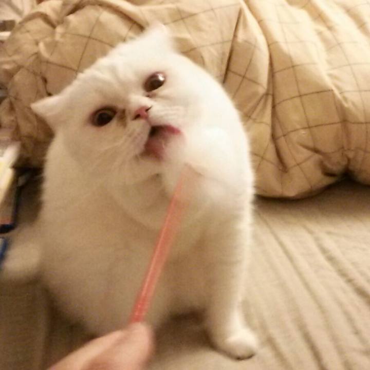 0c3c55f6 52d5 4f50 a196 f7afc6cee52a 1510303054866