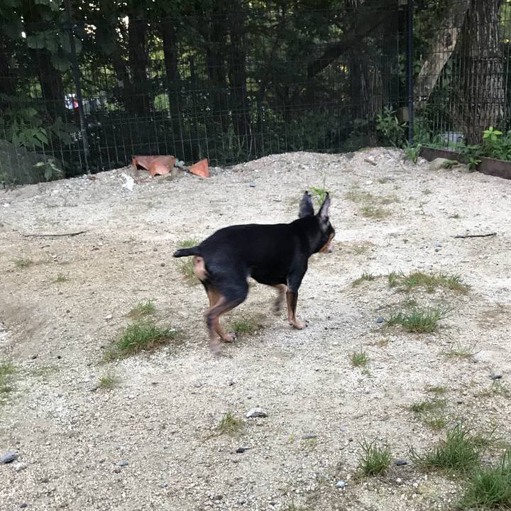 0c3c7735 e659 43bd b6b5 92e83f77b8ab 1534634086015