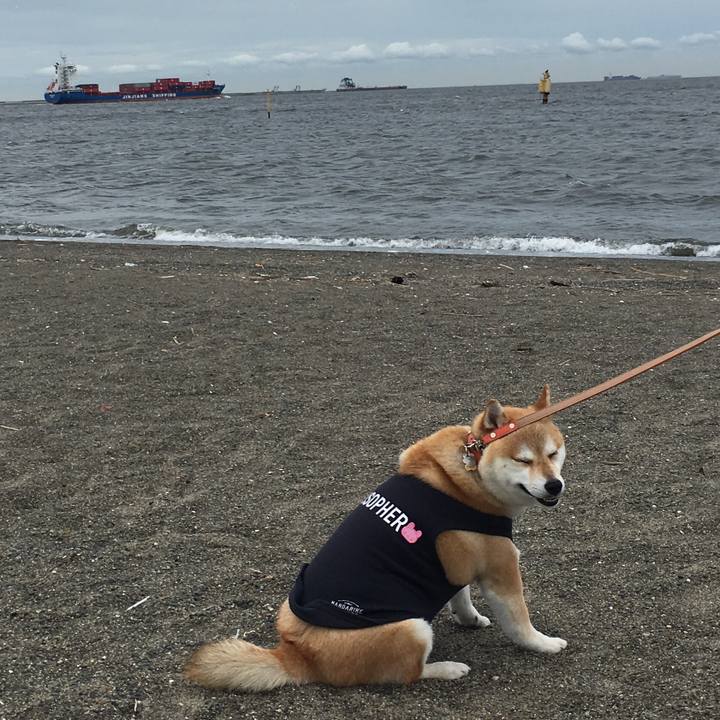 0c3c9098 a5e5 486e 9b10 2a64fbb0b928 1561628516378