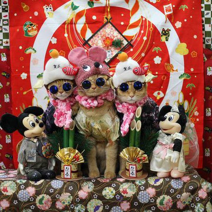 0c3c96f2 cbab 4605 b52b 87b53bb26099 1577806751139