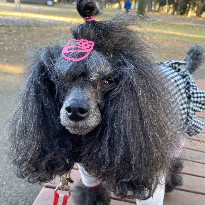 0c3cb159 7d04 4645 b8d1 f33311c3d3f2 1704453448261