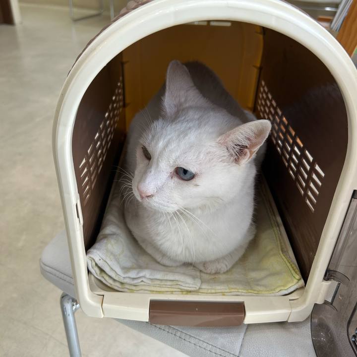 0c3cd71f 9e29 416d 8a26 c5f09e7a93b4 1699061811206