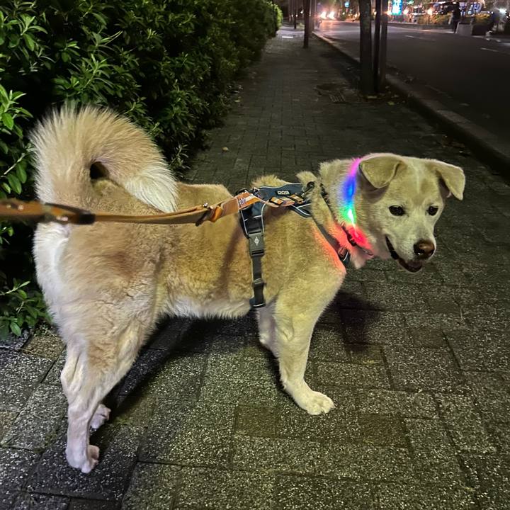 0c3ce7fb 86d5 4e9a 9d5b 37169c6d08d3 1729523588564