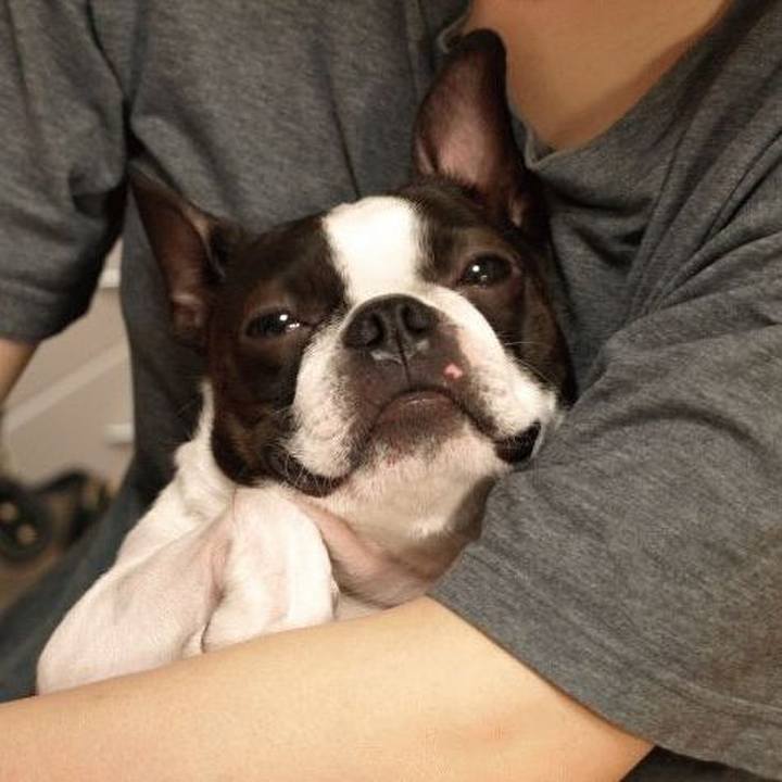 0c3d1dac 776f 4055 a20f 508775873d61 1585361666969