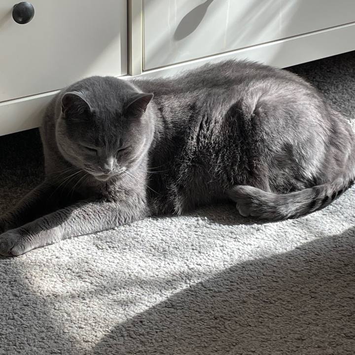 0c3d23f6 efde 4fe4 9594 4a49270171a8 1769273635060