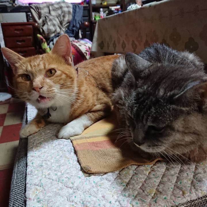 0c3d3b04 5a22 4ec4 95e2 398d83f07c23 1567547334408