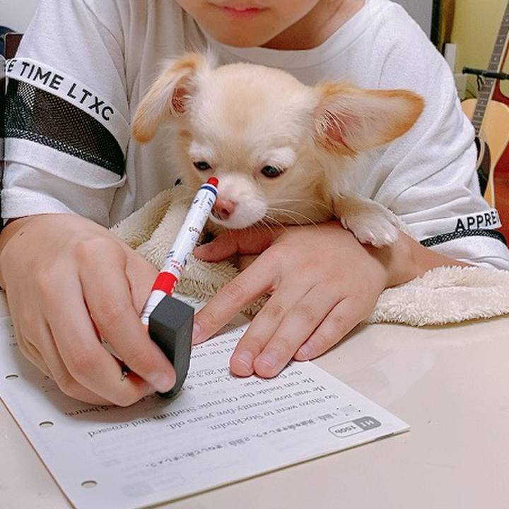 0c3d3e9c 8df6 44ee 919d 1175a45a6939 1602124739783