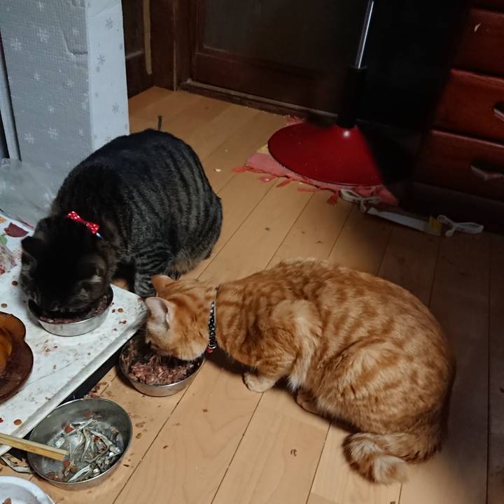 0c3d4eb4 6f20 45f0 8928 da0f2a65b389 1642020933885