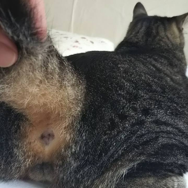 0c3d4f17 d00e 4c5a 93b2 fe646d4aeddb 1610554607097