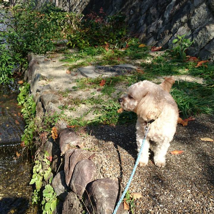 0c3e2812 2c1e 47eb 8bfa 6c8441a27ba7 1542556892383