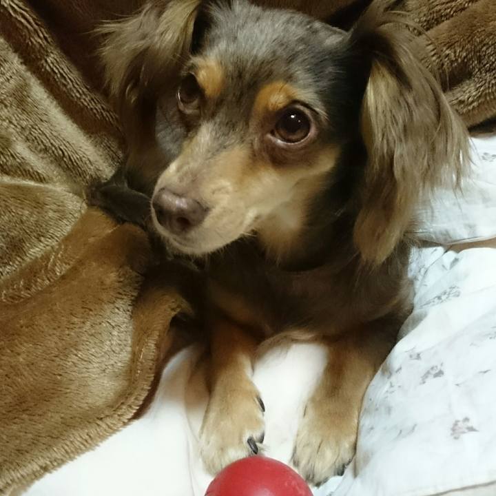 0c3e47ef aedb 4634 8d77 13c5fd6fd51c 1513345900185