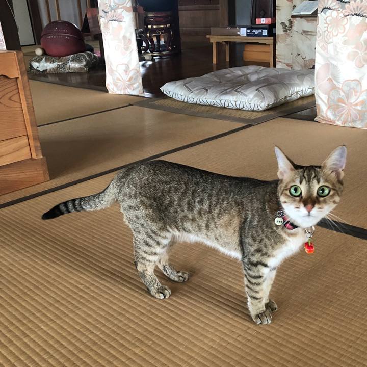 0c3e757d fe9b 409c b6da 0d6714d562d0 1660632679606