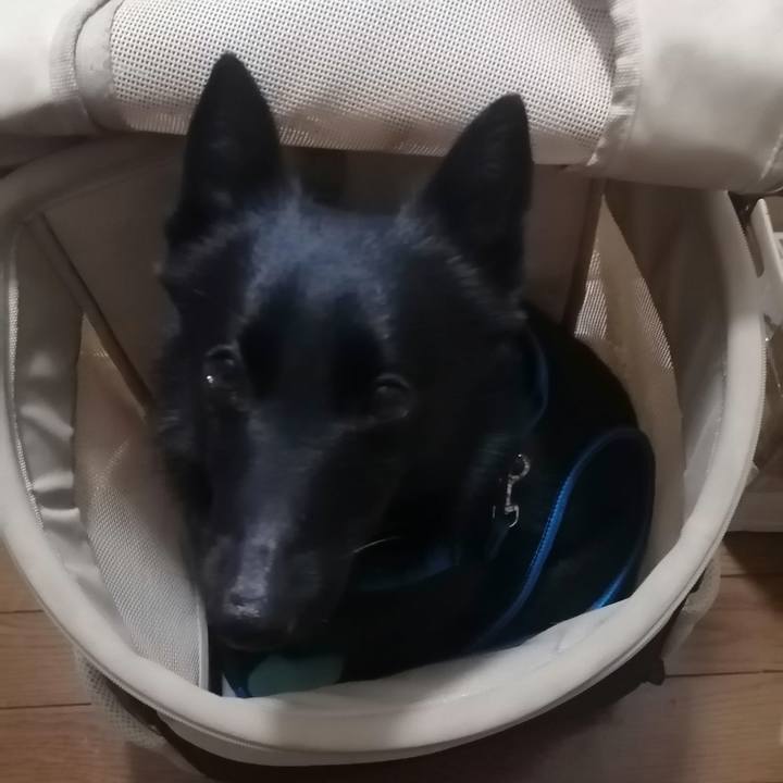 0c3ec9bf cd58 47f3 84e1 37032c56b6ac 1622354574171