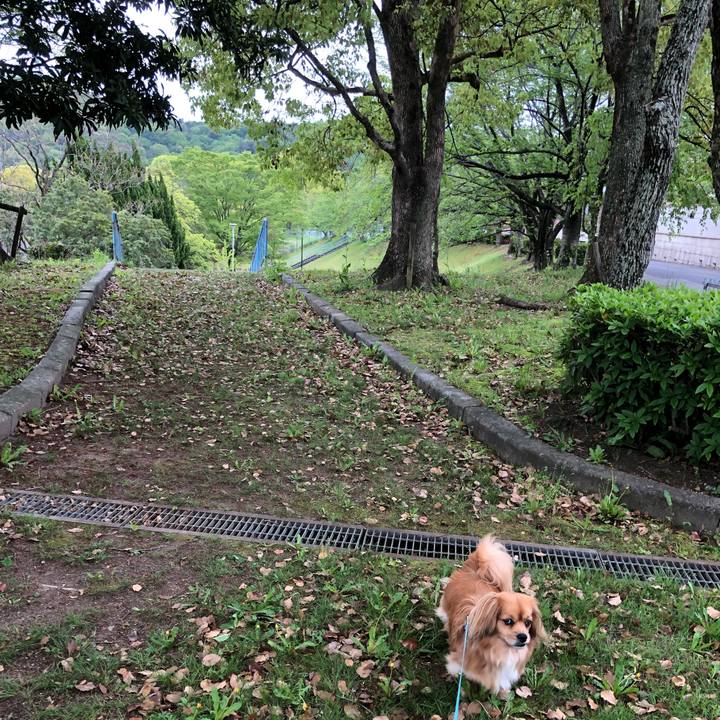 0c3f071f bdf6 4fbf a5fd 5c5d232a80d0 1556585938958