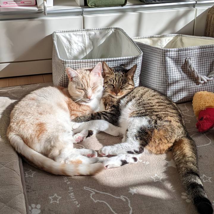 0c3f46b5 2435 4053 9943 c2264db6848f 1699972519988