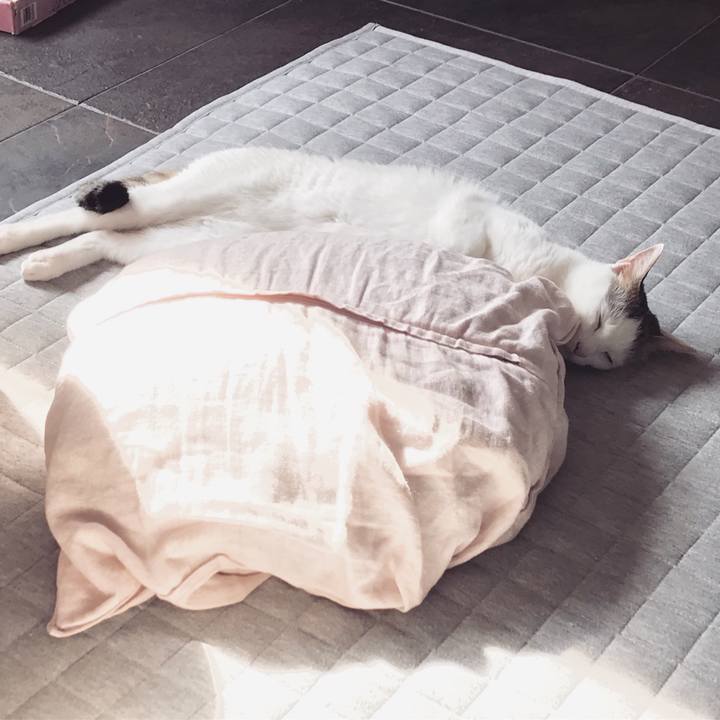 0c3f78ec bfab 4923 b28b 0482619b0a72 1554037519986