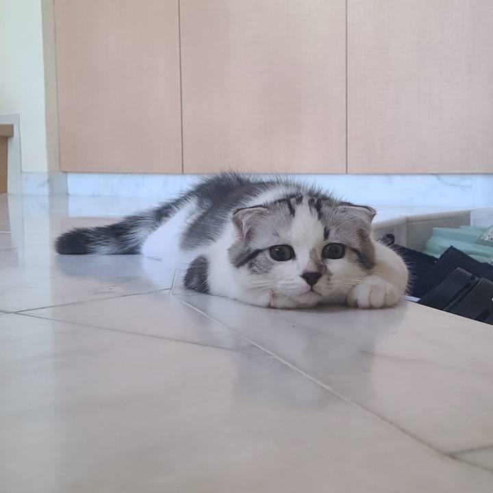 0c3f8654 ce2a 464a bc0a 0ff7d54b6a38 1627979932196