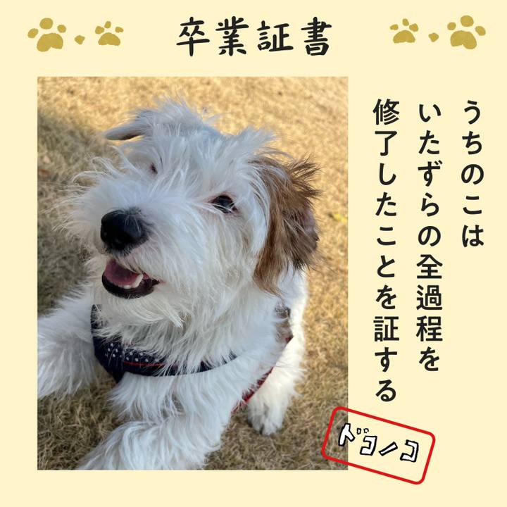 0c3f8c48 57b1 48b3 b4e5 fdf580ed9f66 1771845035780