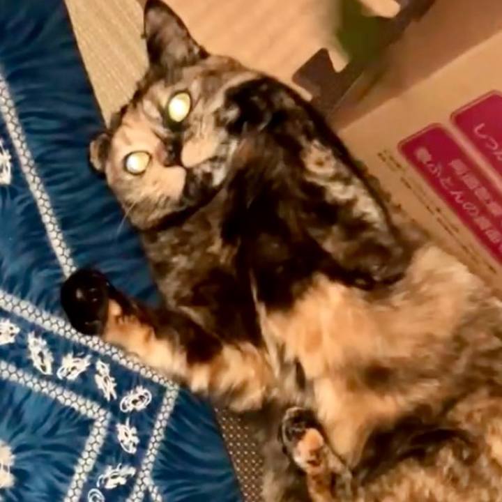 0c3f9300 f0d6 4806 9681 97c0e76e3d4c 1741900929985