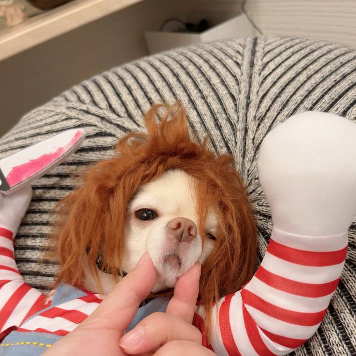 0c3f95f3 73c7 4b5c 8e00 3359b85e223a 1730375118790