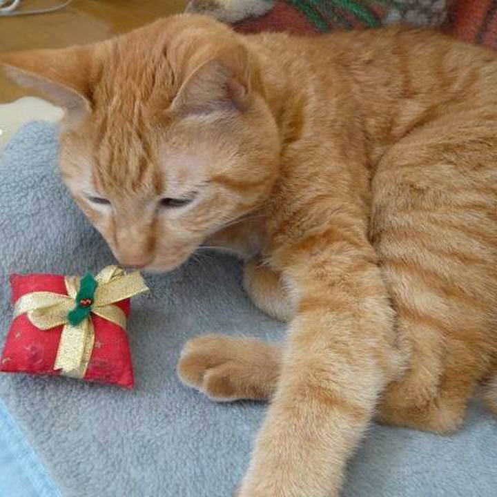 0c3fa048 c306 4c55 9d22 7f4f59db5b46 1513829029993