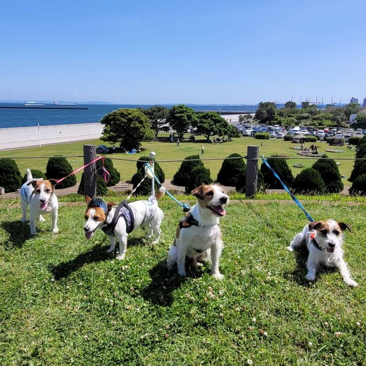 0c3fb036 f639 4c76 b8de 5d38338939e8 1715557098960