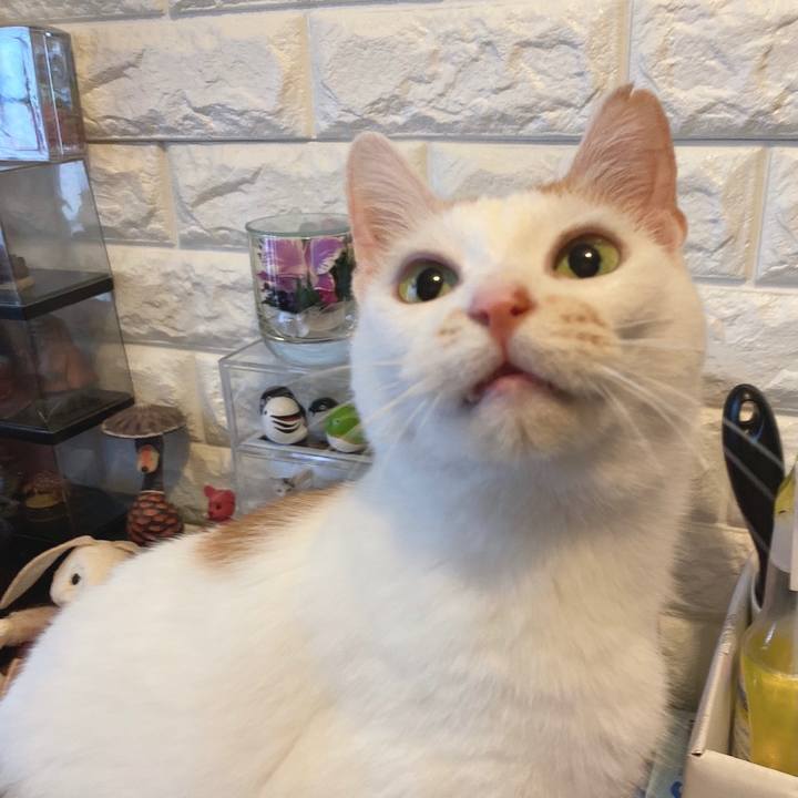 0c3fb07b 0578 419c 85d8 457c0e5e2c2d 1624369532114