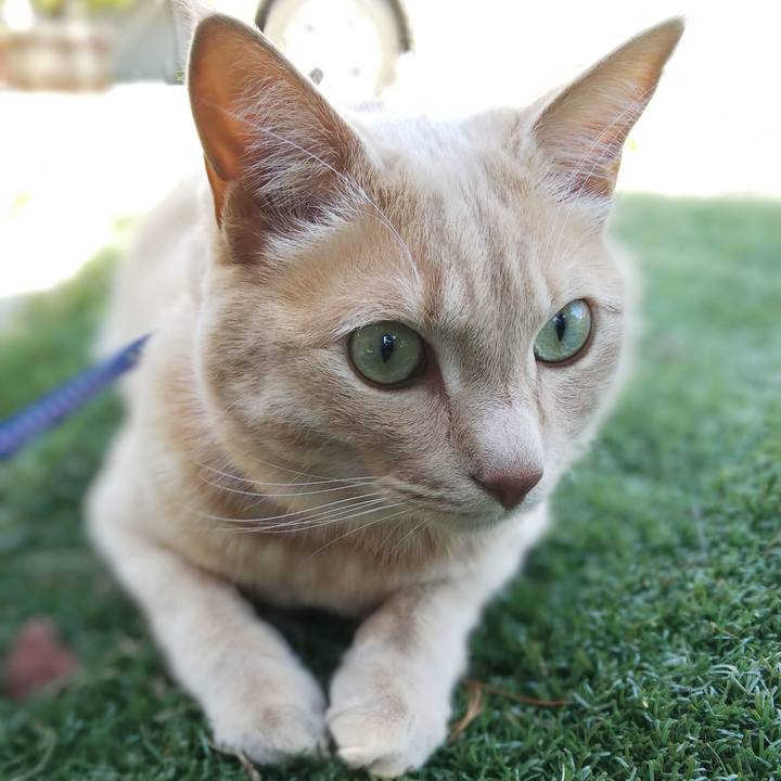 0c3fdaaa 4b85 4304 adaf 94f594c65825 1623900438474