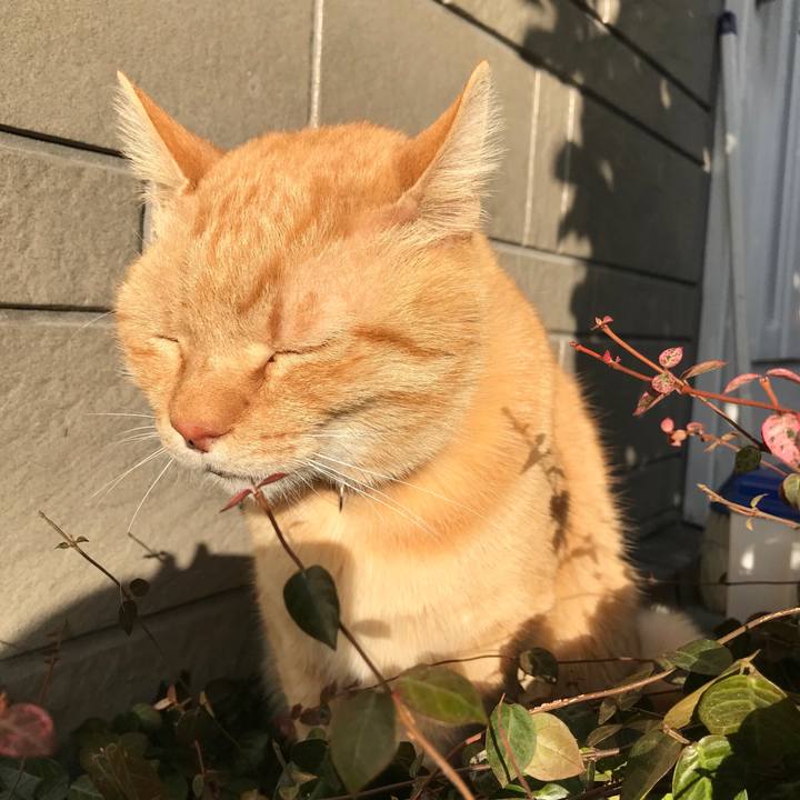 0c3ff88a 099b 427b 90cd ce26f4e63ea9 1516869897563