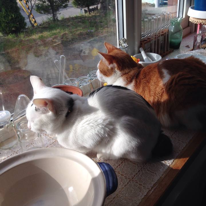 0c3ffb8d 54b9 493c ac1f 97a70c726217 1526592022360