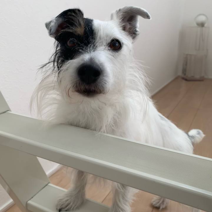 0c400349 eeab 4ebe bcc2 37eb12d73088 1702263723518