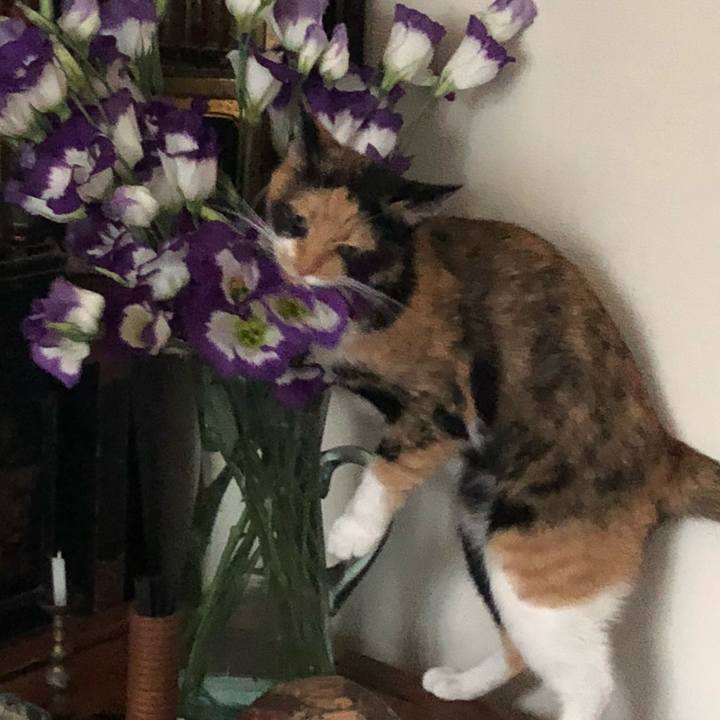 0c40060c ae78 4f34 b5e0 e63823dfb6c5 1536146077180