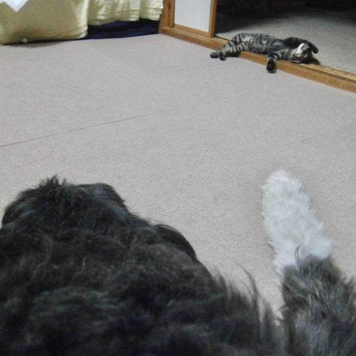 0c40272f bf30 47ea 9e1c f2bc6025fd87 1525864907833