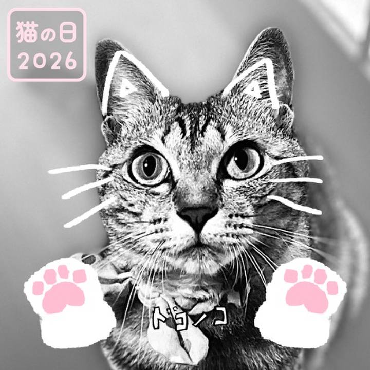 0c402b3b 96ad 4fa1 920c 76629b035587 1771704886349