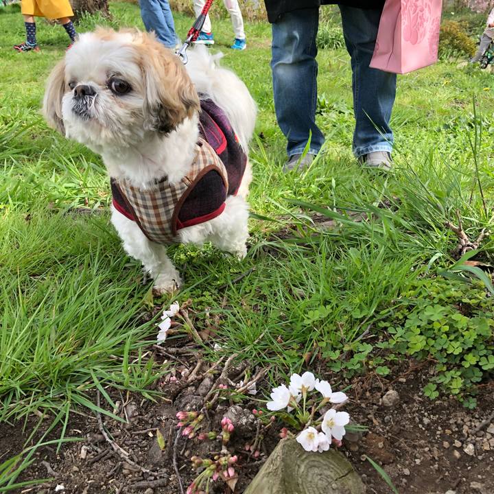 0c403358 3229 4100 a376 10a58d7b7733 1522360219469