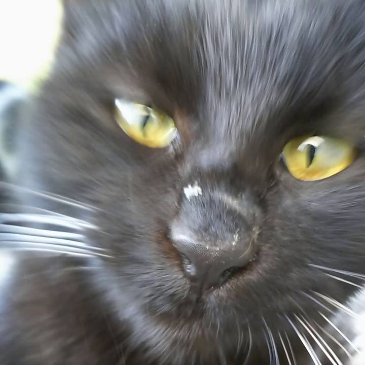 0c40375c ccb0 4415 9928 5aef419eb5dd 1549436999233