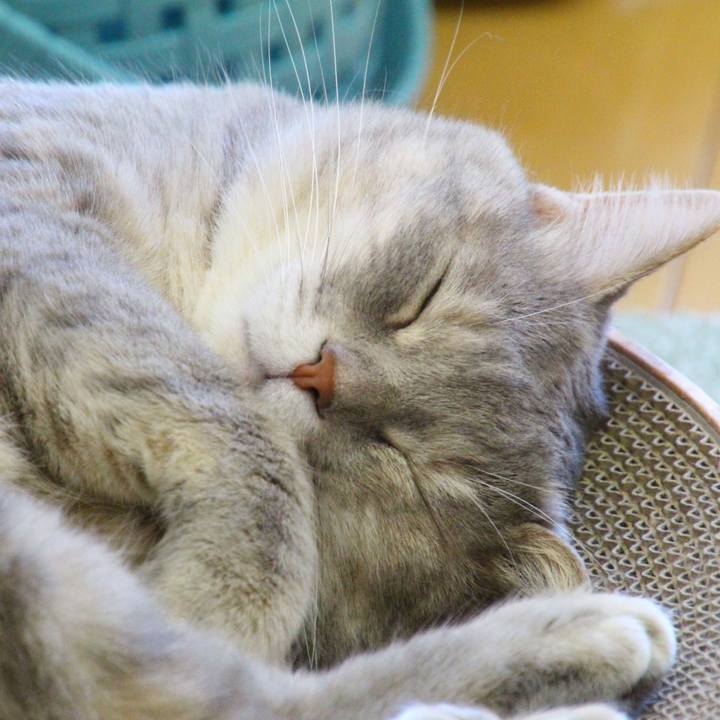 0c406b78 3657 4afb a8b9 9bb4910b4715 1690431786923